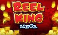 Reel King Mega Giant Wins