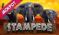 Stampede Jackpot Giant Wins