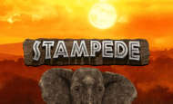 Stampede Giant Wins